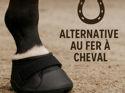 Hipposandales pour chevaux : une alternative naturelle au fer à cheval