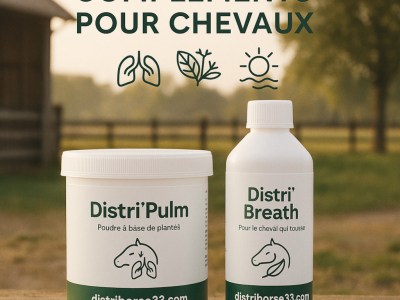Toux du cheval : comprendre les causes et choisir les bons compléments naturels