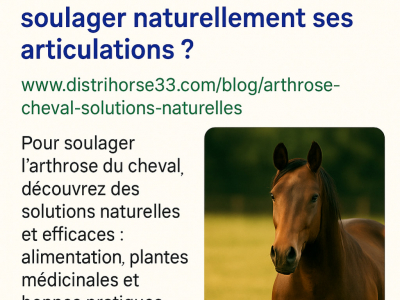 Arthrose du cheval : comment soulager naturellement ses articulations ?