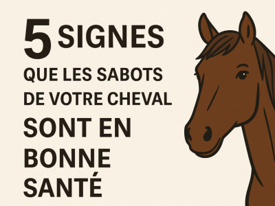 5 signes que les sabots de votre cheval sont en bonne santé