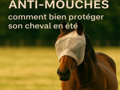 Anti-mouches cheval : comment bien protéger son cheval en été ?