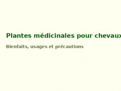 Plantes et Cheval
