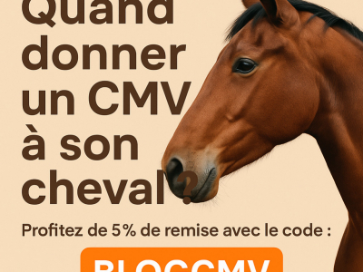 Quand donner un CMV à son cheval ?