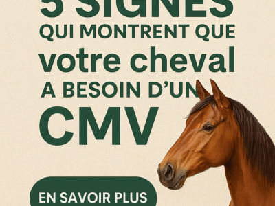 Les 5 signes qui montrent qu'un cheval a besoin d'un CMV