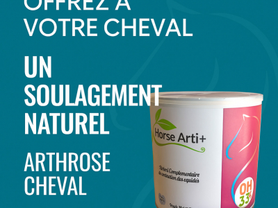 Arthrose, raideurs, douleurs : soulagez naturellement les articulations de votre