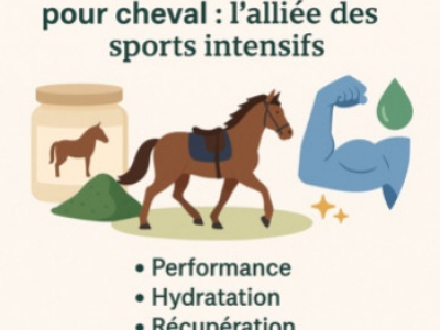 Protéines et spiruline pour cheval : l'alliée des sports intensifs