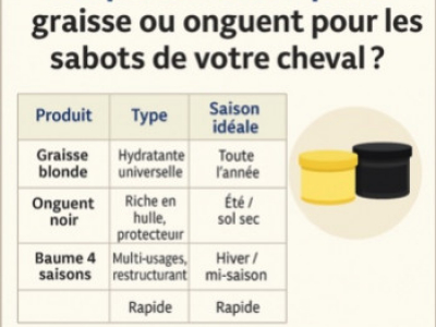 Comparatif 2025 : quelle graisse ou onguent pour les sabots de votre cheval ?