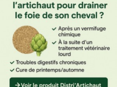 Pourquoi utiliser l'artichaut pour drainer le foie de son cheval?