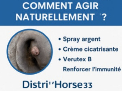 Verrue du cheval : nez, membres, comment agir naturellement?
