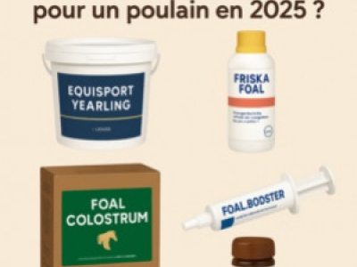 Quels compléments choisir pour un poulain en 2025