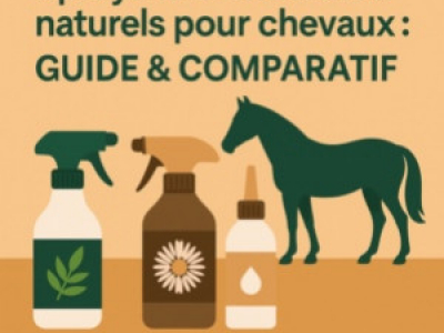 Anti-mouches cheval : comment bien protéger son équidé en été ?