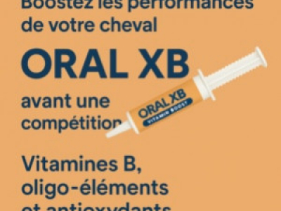 ORAL XB : booster vitaminé pour cheval avant une compétition