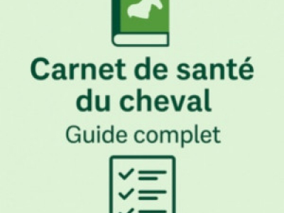 Carnet de santé du cheval : le guide complet