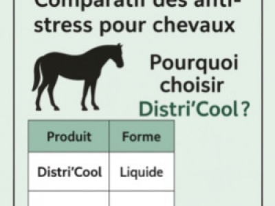  Comparatif anti-stress cheval : pourquoi choisir Distri’Cool ?