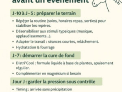 Compétitions : routine anti-stress avant un événement