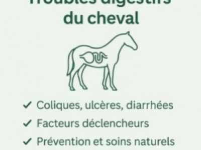 Troubles digestifs du cheval : causes, prévention & solutions naturelles