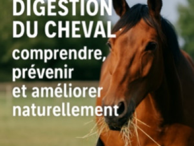 Digestion du cheval : comprendre, prévenir et améliorer naturellement