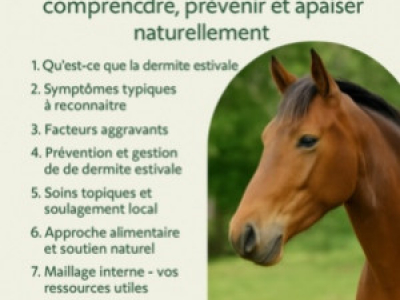 Dermite estivale du cheval : comprendre, prévenir et apaiser naturellement