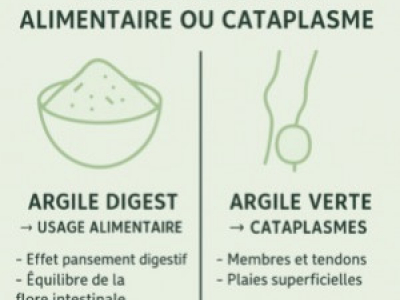 Argile pour chevaux : usages internes et externes, quelle différence ?
