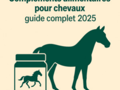 Compléments alimentaires cheval | Guide complet 2025