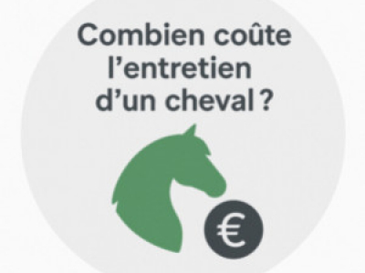 Combien coûte l'entretien d'un cheval en 2025?