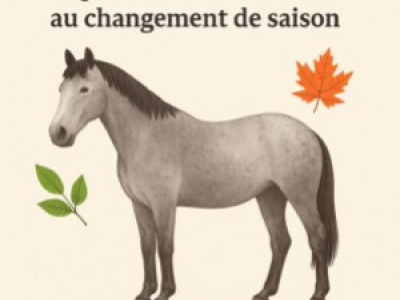 Cheval senior : bien le préparer au changement de saison