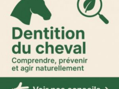 Dentition du cheval - Comprendre, prévenir et agir naturellement