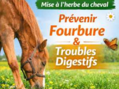 Mise à l’herbe du cheval au printemps : prévenir fourbure et troubles digestifs 