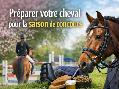 Événements et concours : préparer votre cheval pour la saison printanière