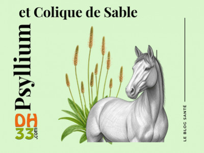 Psyllium cheval : intérêt sur sol sablonneux et prévention du sable intestinal
