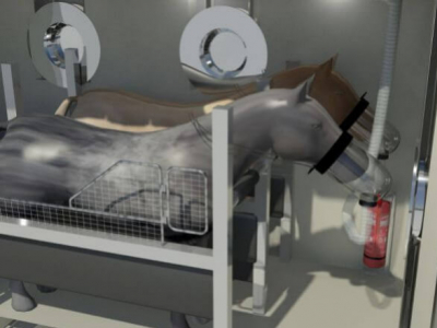 Oxygénothérapie hyperbare pour le cheval
