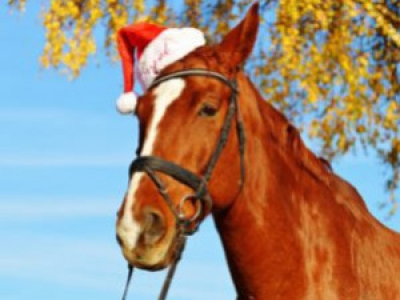 Quoi offrir à Noël pour son cheval?