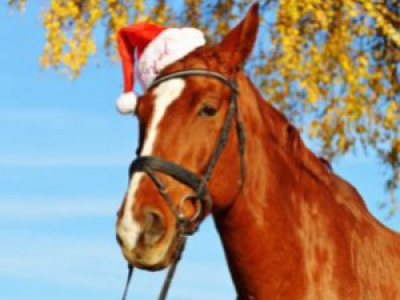 Quels cadeaux pour son Cheval?