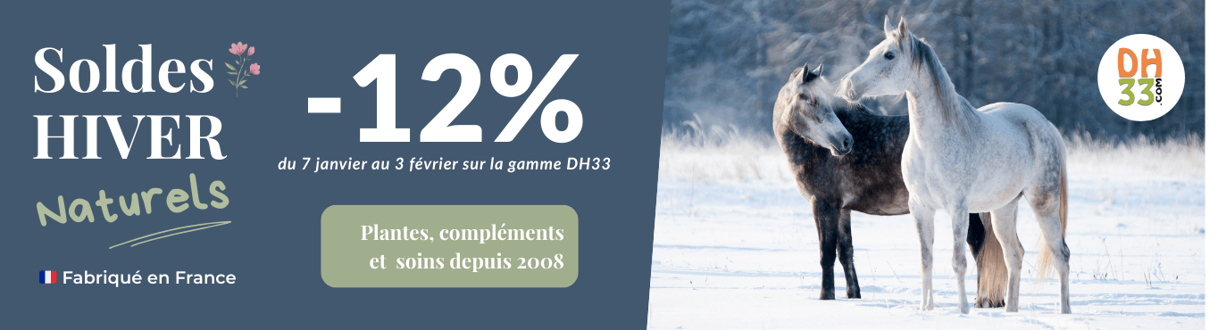Soldes Hiver 2026
