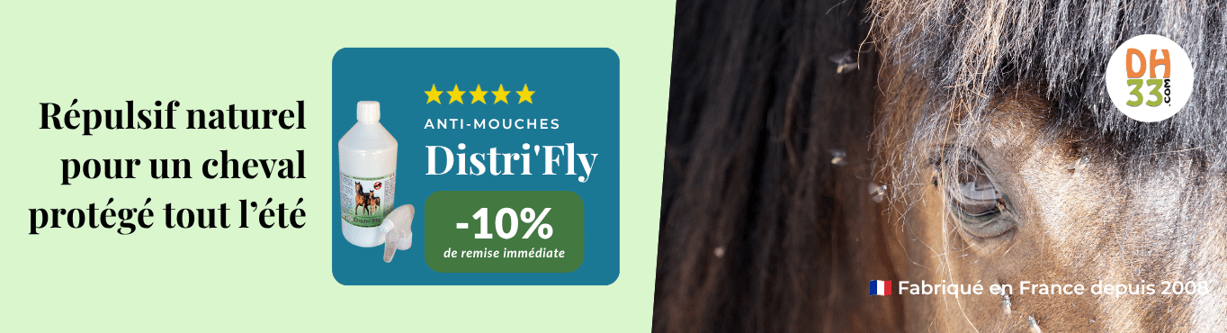 DistriFly
